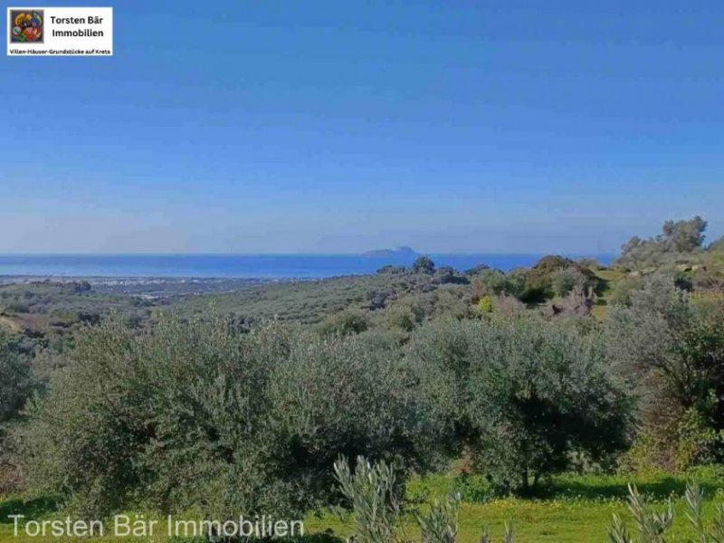 Kalochorafitis Kreta, Kalochorafiti: Landwirtschaftliches Grundstück mit 170 Olivenbäumen Grundstück kaufen